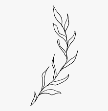 7 ways to optimize your blog through visual content. Freetoedit Leaves Leaf Tree Nature Bush Bushes Aesthetic Leaves Drawing Hd Png Download Kindpng