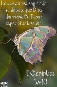 1 Corintios 15 10 Facebook Com Jesusteamamgaministries Bellos Insectos Mariposas Animales