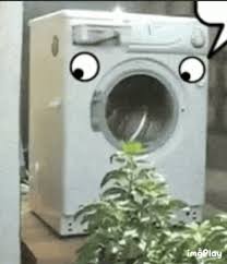 We did not find results for: Emoji Washing Machine Stupidface Idiothole Discover Share Gifs