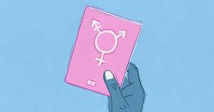 Guten tag (abend und morgen geht auch, ist aber wieder etwas informeller, da man ja nicht weiß, wann. Selbstbestimmungsgesetz Namen Und Geschlechtseintrag Selbststandig Andern Im Ausweis Gender Jetzt De