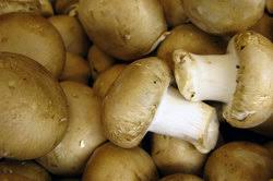 Mögliche verdauungsprobleme lassen sich vermeiden, wenn sie nur geringe mengen der pilze als rohkost verzehren. Champignons Der 3 Wahl Konservierte Pilze Unter Die Lupe Genommen