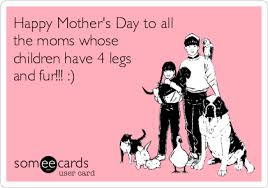 That's right, it's mother's day. 20 Happy Moms Day Ideas Happy Mom Day Mom Day Happy Mothers Day