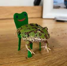 Black And Yellow Frog Animal Crossing 31 Fresh Pics Packed Up To Your Mouth In 2020 Funny Frogs Cute Frogs Frog