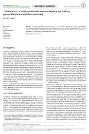 Image result for Marquesia macroura