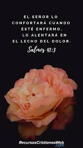 Versiculos Biblicos De Sanidad Salmos 41 3 Citas Biblicas Frases De Salmos Versiculo De La Biblia Versiculos Biblicos