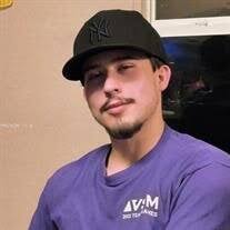 Daniel D. Knapp Jr. Obituary