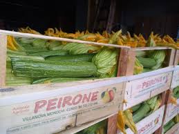 We did not find results for: Hortidaily Global Greenhouse News