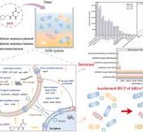 Insights into the mobility and bacterial hosts of antibiotic ...
