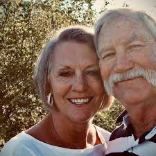 Sudden fly infestation in tiny home