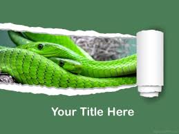 Free Snake Powerpoint Templates Myfreeppt Com