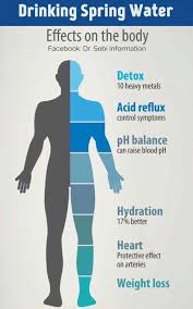 Alkaline Water Dr Sebi Alkaline Water Water Benefits Alkaline Water Recipe