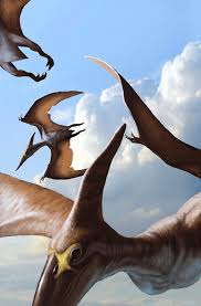 Image result for Pteranodon
