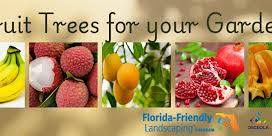 Fruit Trees for your Garden