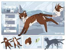 Tsf Stoatpad Windclan By Baracatt Warrior Cat Drawings Warrior Cats Art Warrior Cats