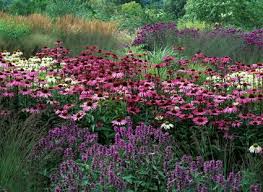 Beautiful Gardens Top Plants Expert Tips Beautiful Gardens Plants Garden Inspiration