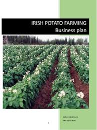 This is a practical guide that will walk you plan the action you must take to attain the goals. Business Plan For Potato Farming Manure Greenhouse