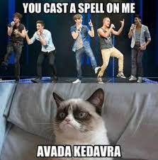 Trendy Funny Clean Memes Cats Ideas In 2021 Funny Cat Memes Super Funny Memes Cat Memes Clean