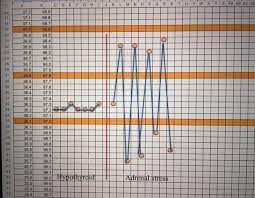 How Does My Temperature Tell Me About My Thyroid And Adrenals