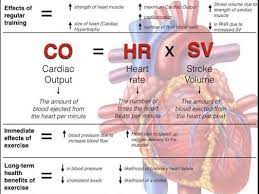 Effects Basic Anatomy And Physiology Human Body Systems Anatomy And Physiology