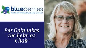 NABC announces new expanded board members