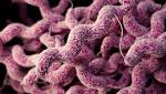  BU-based Antimicrobial Partnership Gets Another $50 Million Plus