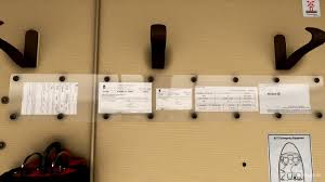 Image result for Medium Brown 2013 Fleet