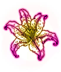 Show your kids a fun way to learn the abcs with alphabet printables they can color. Freetoedit Neon Neonlights Pink Yellow Flower Lily Coloring Pages Clipart Full Size Clipart 4158997 Pinclipart