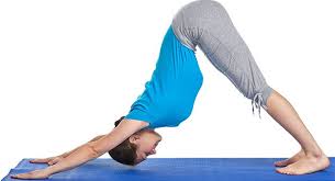 10 Effective Yoga Poses For Women Over 60 Easy Yoga Poses Yoga Poses For Back Yoga Poses
