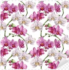 Sharing these really simple and beautiful watercolor floral patterns today. Watercolor Floral Pattern With Orchids Desi Png Image With Transparent Background Toppng