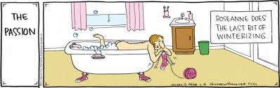 See more ideas about knitting, knitting humor, yarn humor. Curlerchik Knits So Funny