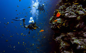 Diving diving became popular in sweden and germany in the 18th and 19th centuries. Best Places And Seas To Scuba Dive In The World Most Popular Adventurous Scuba Diving Places Wego Com