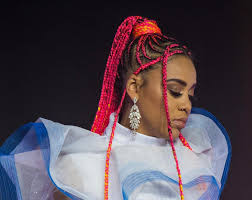 Amazon rapids fun stories for kids on the go. Sho Madjozi Hairstyles Google Search