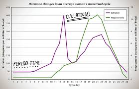 73 Methodical Estradiol Levels In Women Chart
