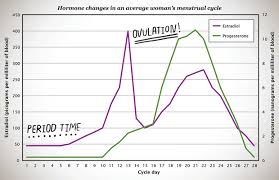 73 methodical estradiol levels in women chart