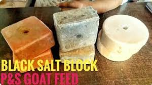 P&s goat feeds for all your goat farming needs! Uis Entertainment Ø¥Ø³Ø±Ø§Ø¦ÙŠÙ„ Vlip Lv