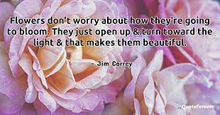 See more ideas about me quotes, words, words of wisdom. Jim Carrey Quote Flowers Don T Worry About How They Re Going To Quoteforever