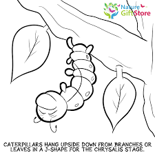 Choose a scene from your favorite nick jr. Printable Coloring Pages Nature Gift Store