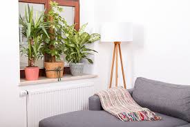 Neue folgen jeden zweiten freitag. New In Pflanzen In Unserer Wohnung Josie Loves