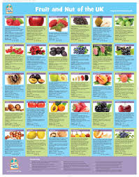 Fruit And Nut Information Wall Chart In 2019 Vitamins For