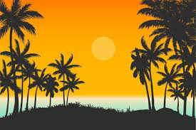 The great collection of beach palm trees wallpapers for desktop, laptop and mobiles. Qs2pgjdpnczdam
