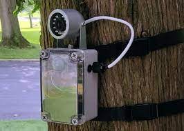 Whether a motion detector is powering your lights, preserving the power in your camera until it is needed, or passively watching over a certain room in your home, motion detection is one of the most. Diy Motion Activated Wildlife Camera Arduino Project Geeky Gadgets