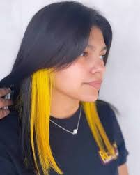 These highlights then only become visible when the hair moves and separates, revealing them. 33 Peekaboo Highlights For Fun Edgy Women Photo Ideas