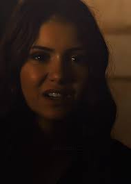 Stefan Salvatore Stop Saying That