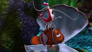 The area is extremely popular and can seem very crowded on occasion. Oui Finding Nemo 2003 Youtube