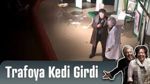 Suheyl Behzat Uygur Tiyatrosu Nda Trafoya Kedi Girdi Youtube