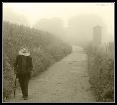 Lonelinnes By Imanol Urrestarazu 500px Camino Frances Santiago De Compostela Camino De Santiago