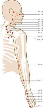 See more ideas about reflexology, acupressure … Dunndarm Akupunkturpunkte Beliebt Bilder Akupunktur Ohrakupunktur Akupressur