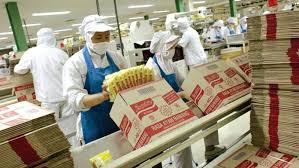 Panganjaya intikusuma yang pada tanggal 5 februari 1994 menjadi indofood sukses makmur. Indofood Cbp Menghalau Dampak Negatif