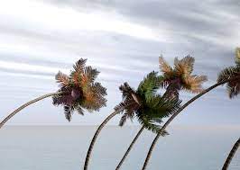 Wind meaning, definition, what is wind: Wind Lambrecht Meteo Gmbh Your Partner For Professional Environmental Measuring Technology