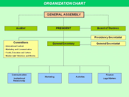 Organizational Chart Ficts